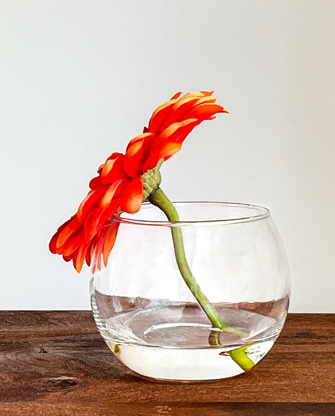 Daisy Flower Popper In Glass Vase