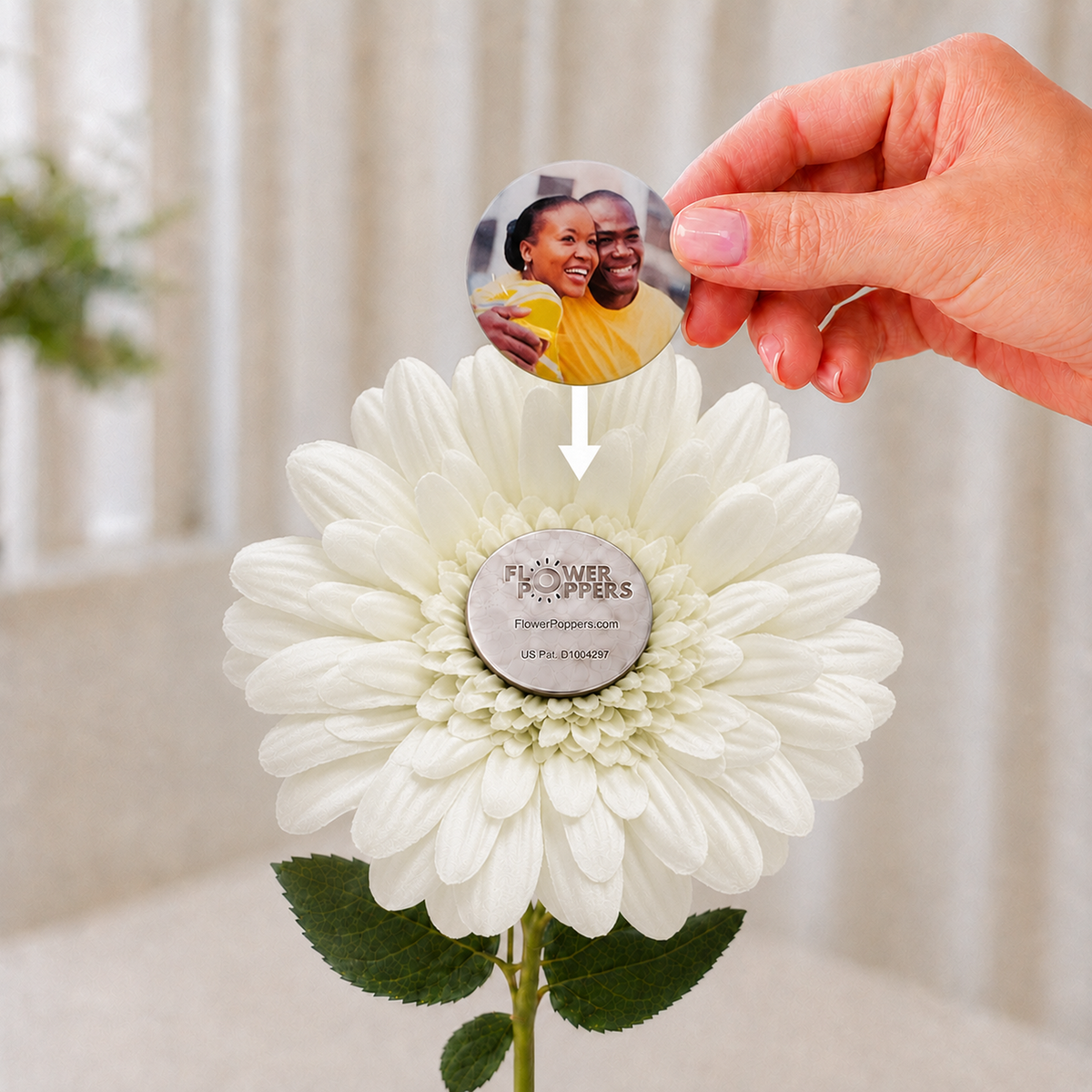 White Daisy - Popper sold separately