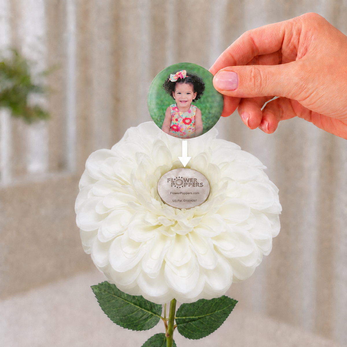 White Dahlia - Poppers sold separately