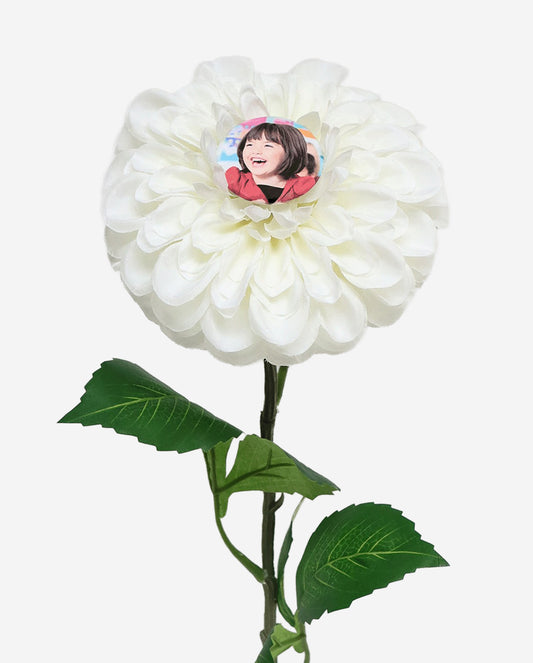 White Dahlia - Poppers sold separately