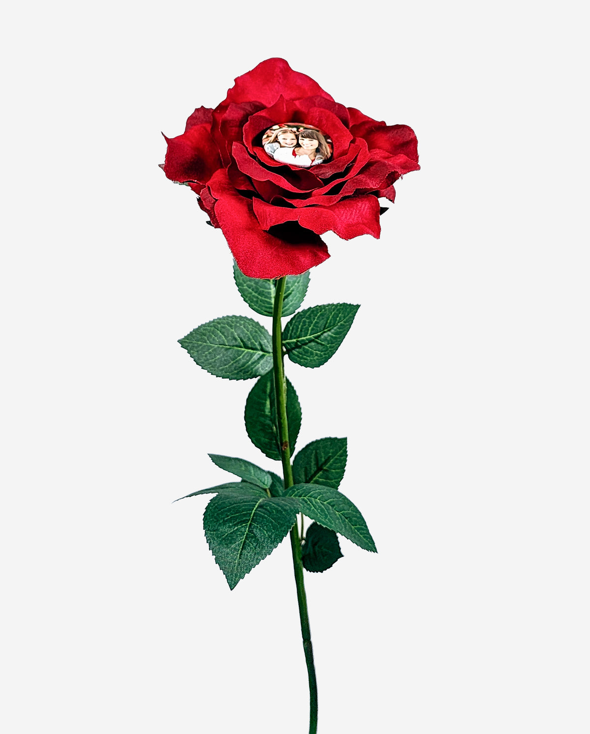 Red Rose - Popper Sold Separately