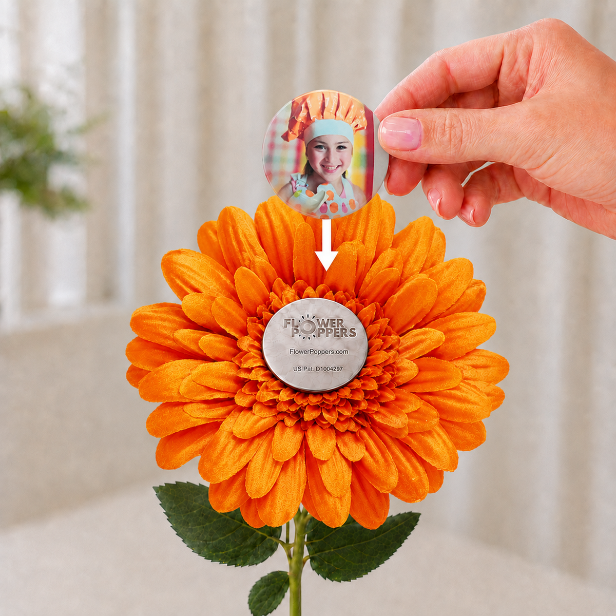 Orange Daisy - Popper sold separately