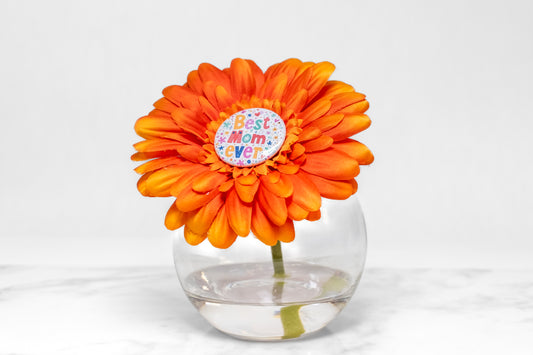 Daisy Flower Popper In Glass Vase