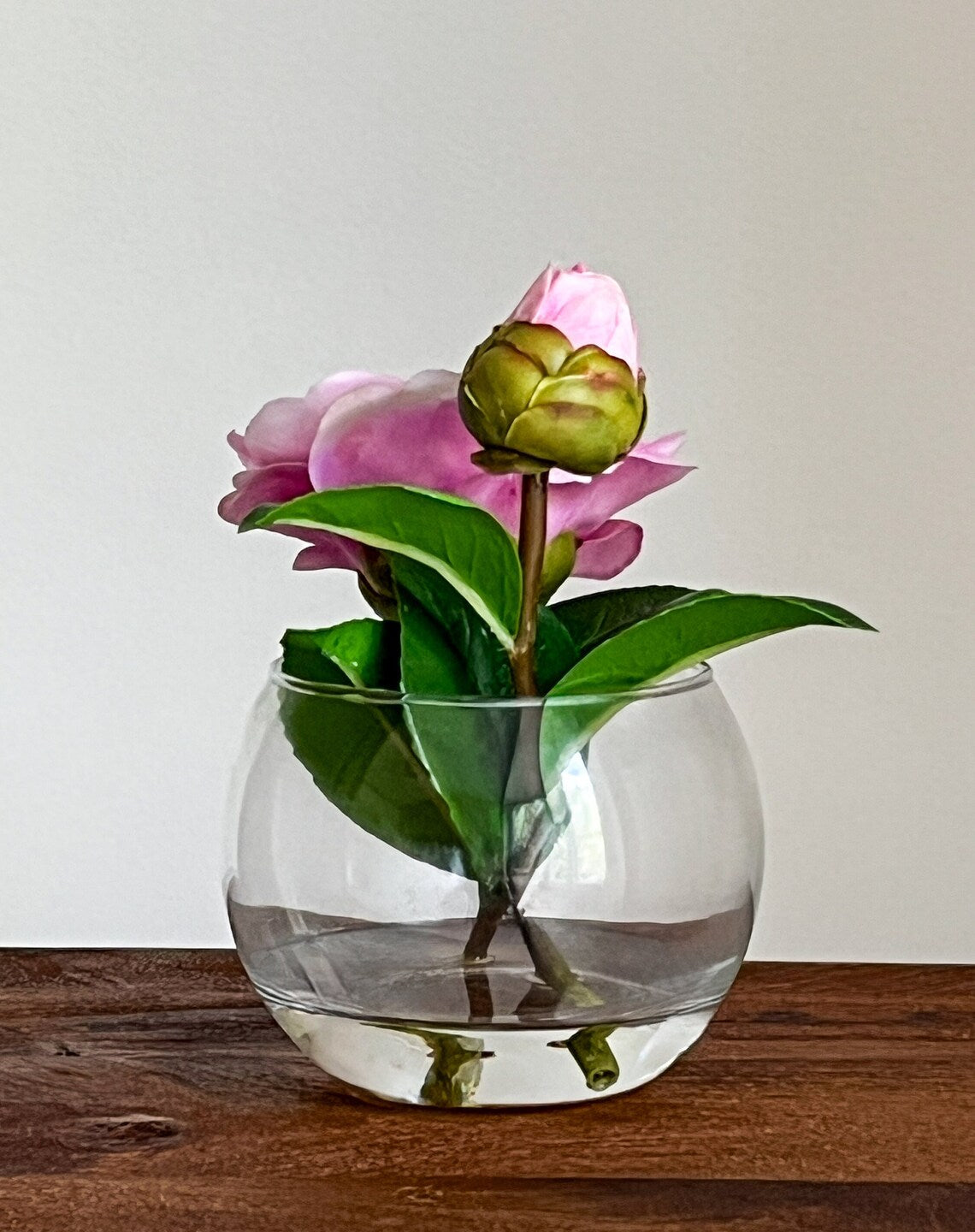 Pink Camellia Flower Popper In Glass Vase