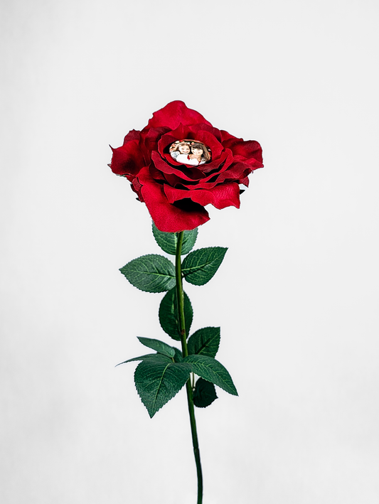 3 Red Roses - Poppers sold separately