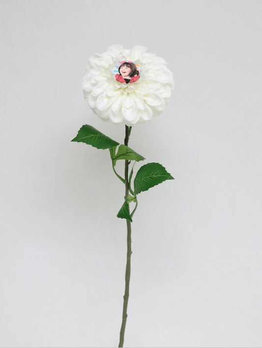 3 White Dahlias - Poppers sold separately